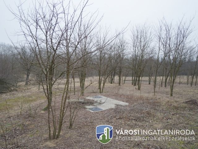 Erdei környezetben új építésű családi ház nagy telken