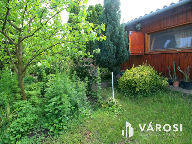 Édenkert Szeged kedvelt üdülő övezetében