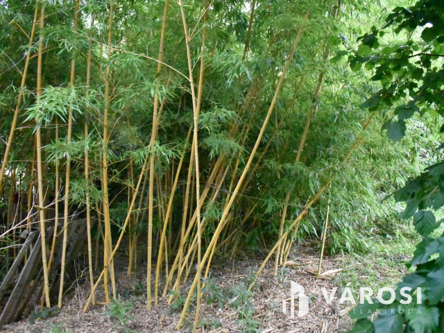 4229 m2-es összközműves építési telek fürdő ővezetben!