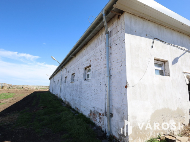Eladó sertéstelep Szeghalom határában 11 ha területen