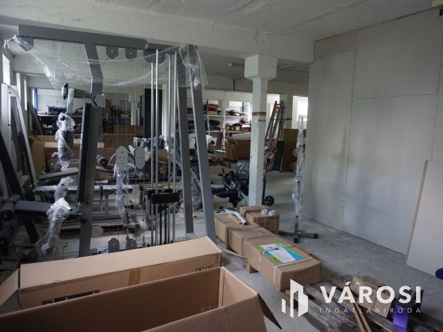 Földszinten elhelyezkedő ipari ingatlan remek áron!