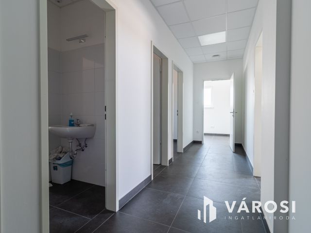 Új építésű ipari ingatlan Dabason kiadó