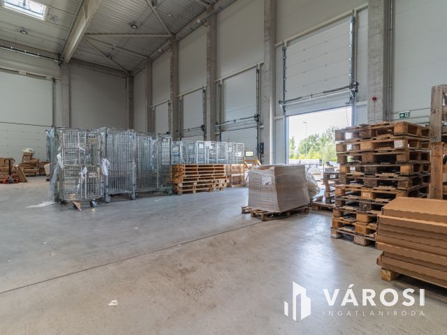 Új építésű ipari ingatlan Dabason kiadó