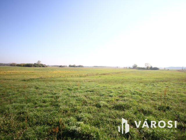 Balástyai tanyáknál