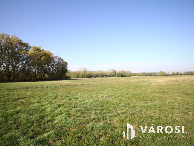 Balástyai tanyáknál