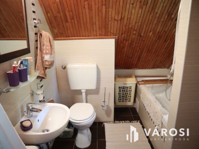 Szatymazi családi ház erdővel!