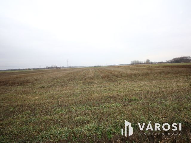 Balástya környékén szántóföld eladó