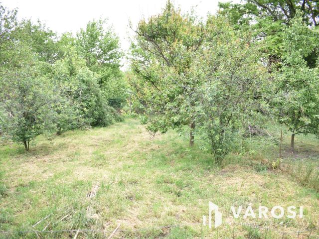 Családi ház jaminában a horgásztó mellett!