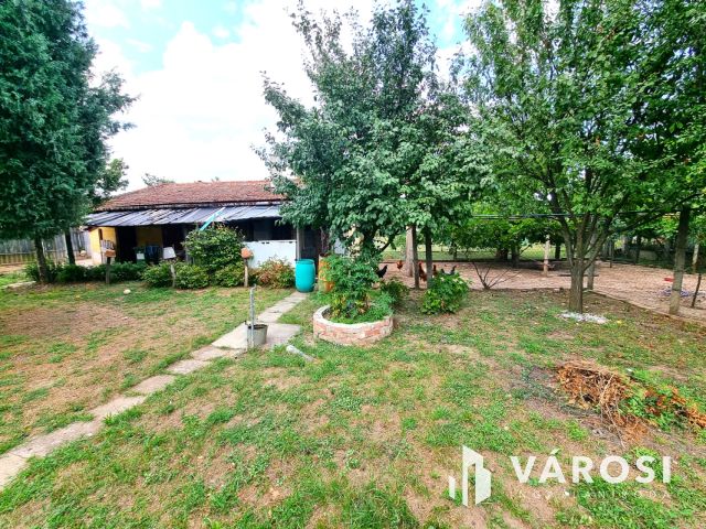 Költözhető állapotú, gondozott kertes ház, központi helyen