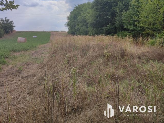 Nyugalom a természet szívében