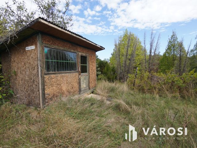 Hatalmas telek eladó Ecseren!