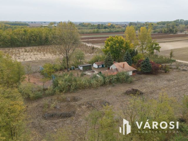 Vadkerti tó mellett teljes a nyugalom