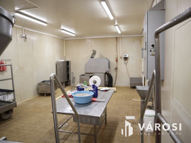 Működő húsfeldolgozó üzem, bővítési lehetőséggel!