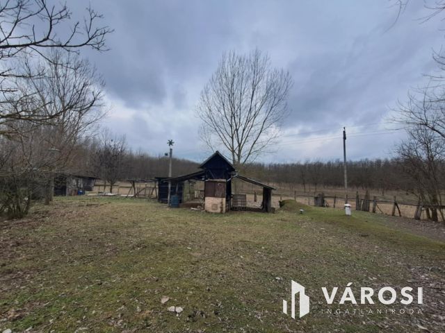 Eladó tanyaként hasznosítható ház és mezőgazdasági terület