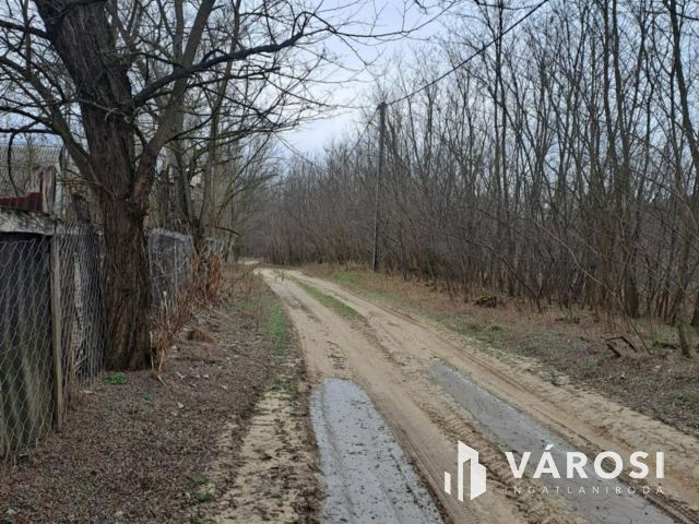 Eladó tanyaként hasznosítható ház és mezőgazdasági terület