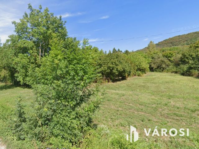 Otthon a természet ölelésében