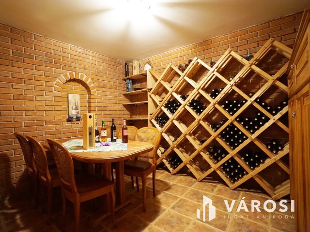 Kőbánya-Óhegy impozáns prémium otthona nagy kerttel eladó